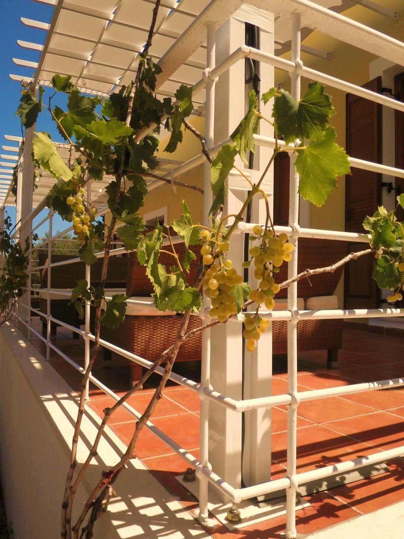 Apartamento Tesoro Of Ithaca Stavros  Exterior foto